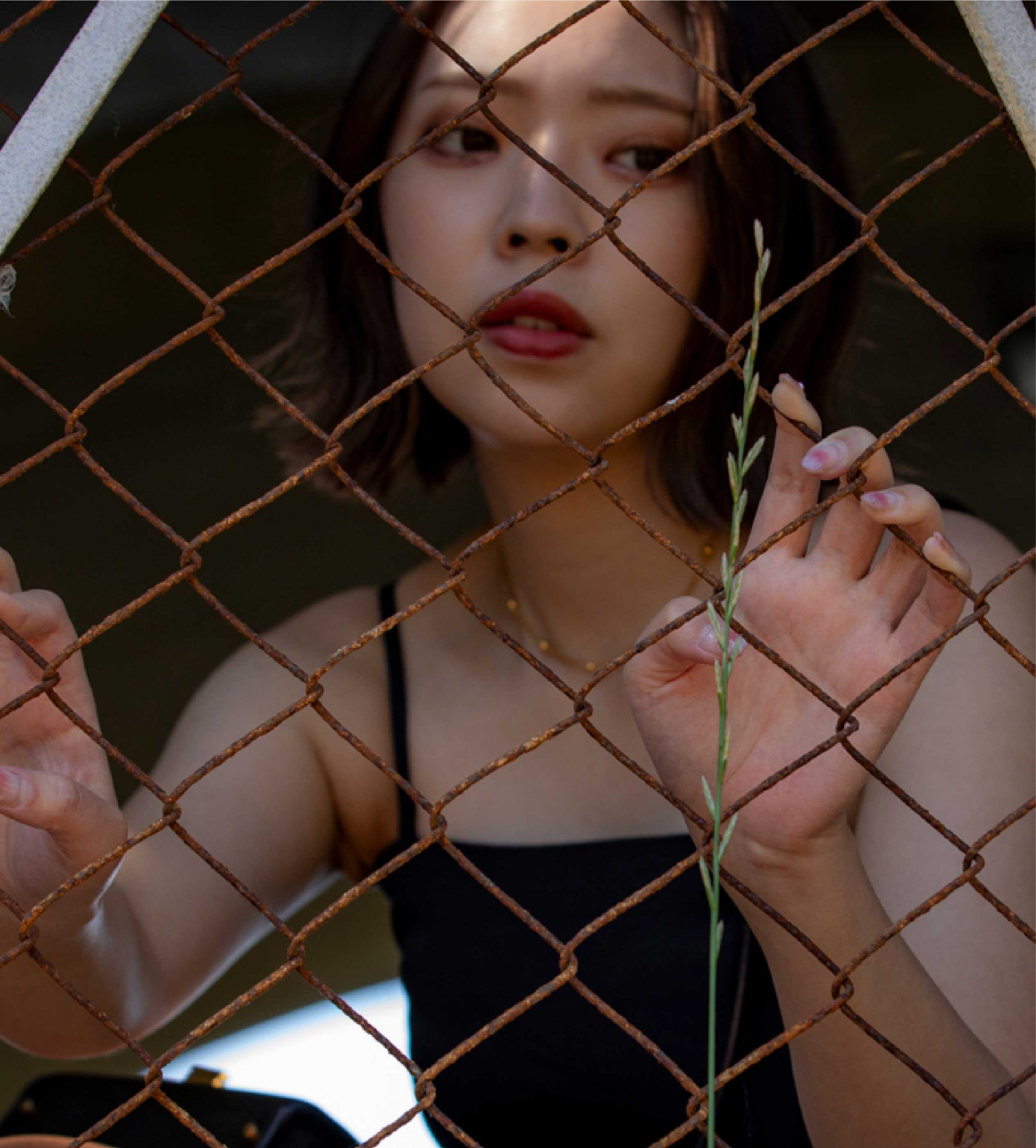 テストタイトル